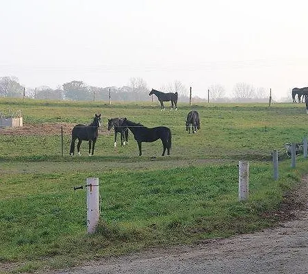 Ferienpark Ferienpark 3*