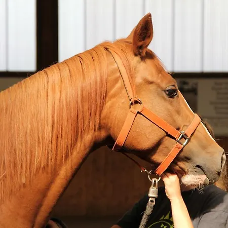 Ferienpark Benz (Usedom)