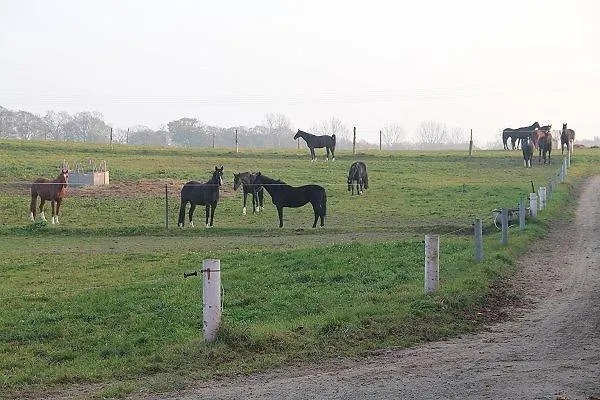 Parque de vacaciones Benz 3*